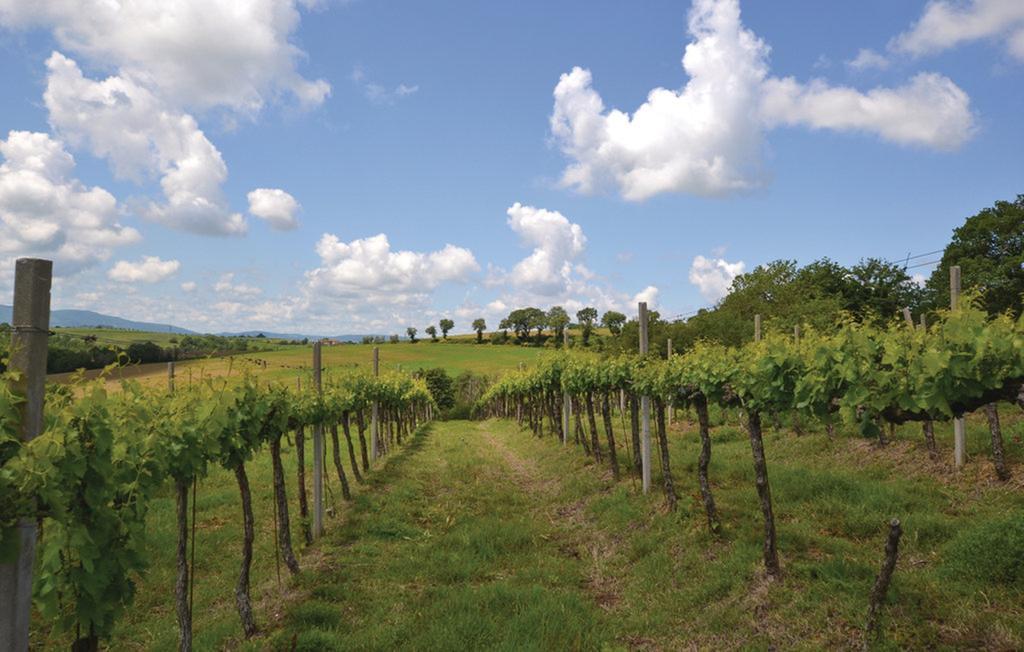 Villastrada  Agriturismo Il Canto Della Gallina酒店 外观 照片